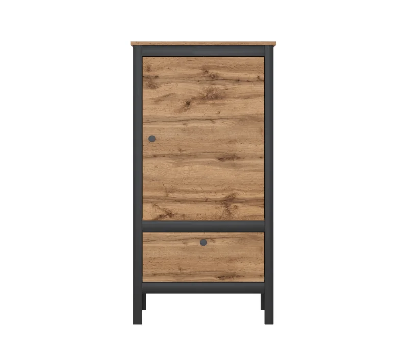 Шкаф ЛОФТ REG1D1S/60