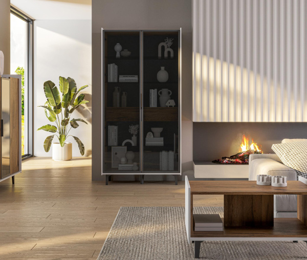 Шкаф комбинированный Модена МН-048-25