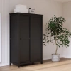 Шкаф двухдверный Кымор Hemnes