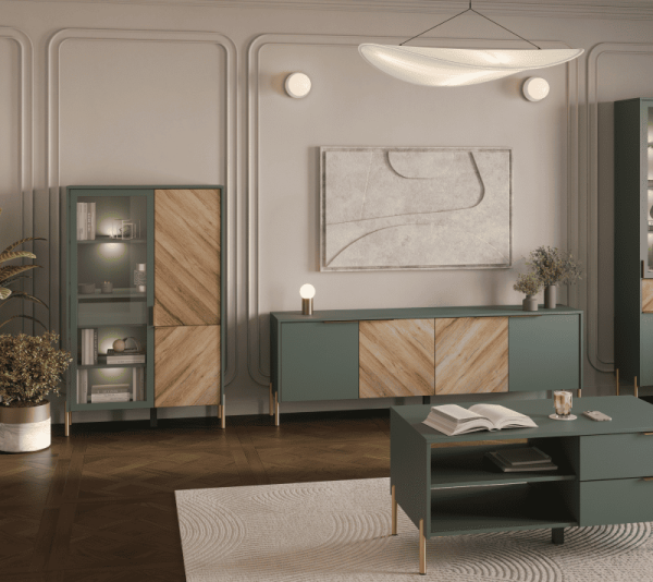 Шкаф с подсветкой СИЕНА REG1W1D/140