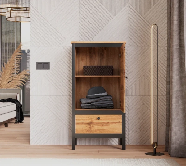 Шкаф ЛОФТ REG1D1S/60