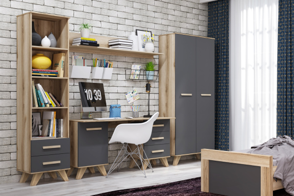 Шкаф-стеллаж 450 Вега Скандинавия