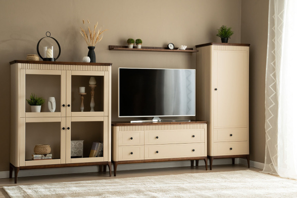 Тумба ТВ Вида №4