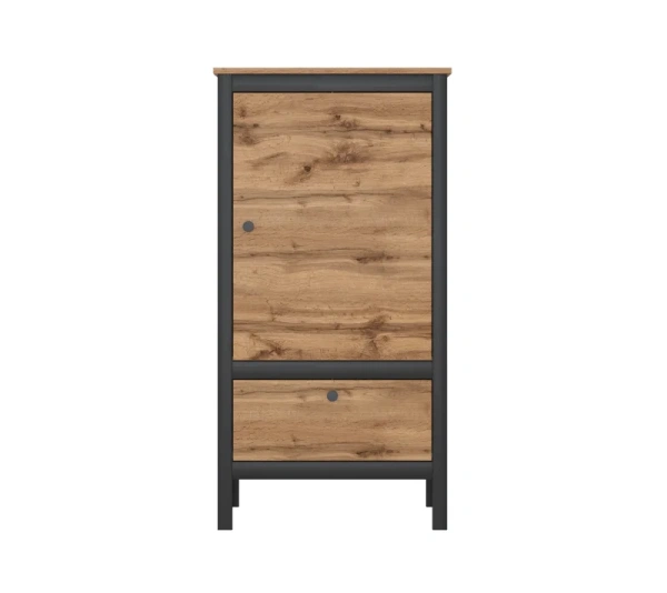 Шкаф ЛОФТ REG1D1S/60