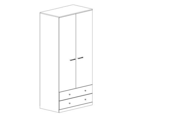 Шкаф 2DG2S ДЖАГГЕР