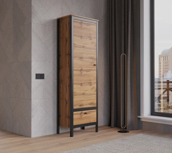 Шкаф ЛОФТ REG1D1S