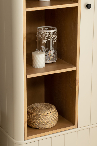 Шкаф одностворчатый Вида №8