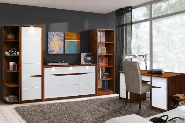 Мебель для кабинета Монако 2