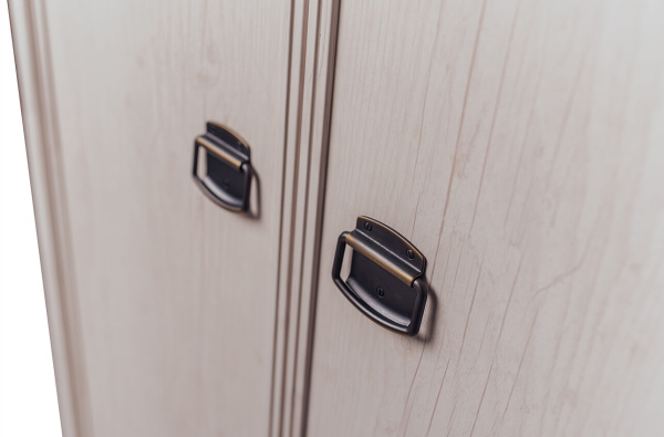 Шкаф 2DG2S МАГЕЛЛАН