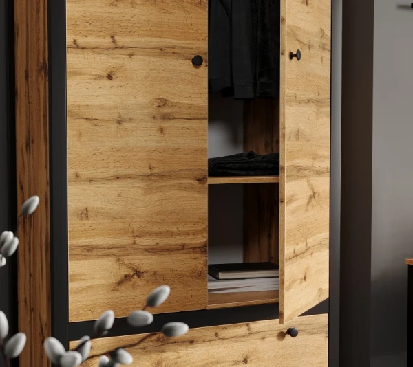 Шкаф ЛОФТ SZF2D1S