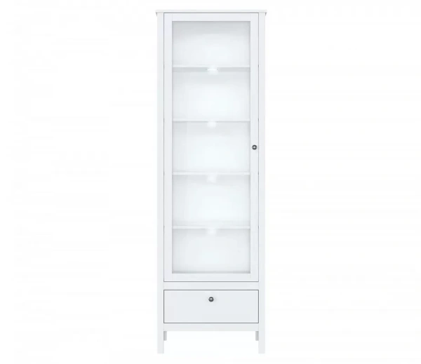 Шкаф с подсветкой ЕВА REG1W1S/65