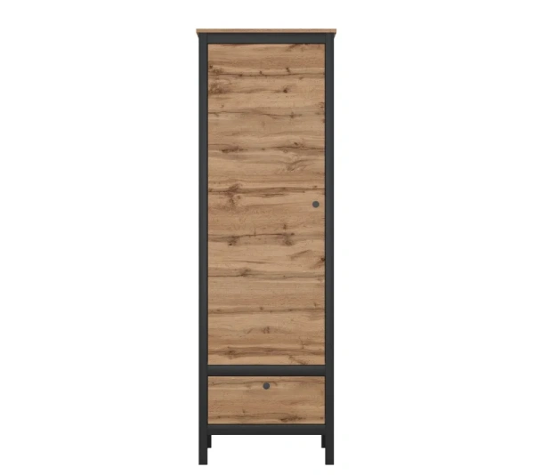 Шкаф ЛОФТ REG1D1S