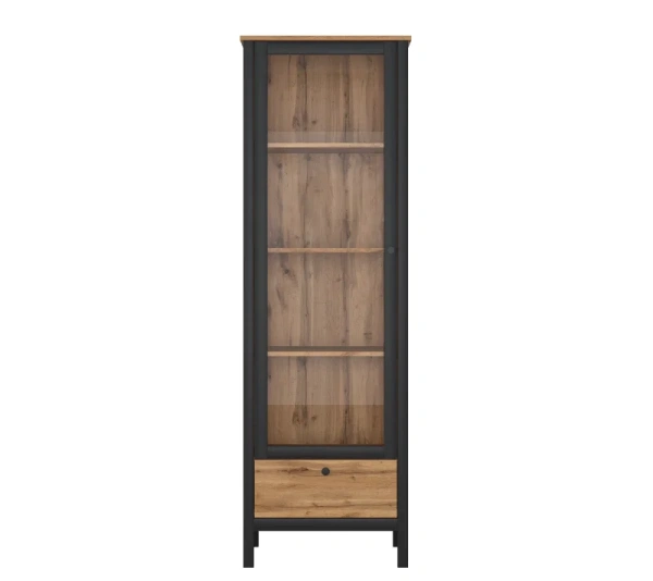 Шкаф ЛОФТ REG1W1S