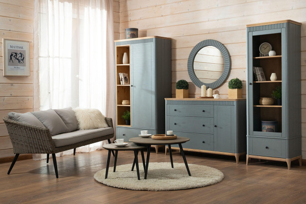 Шкаф одностворчатый Вида №8