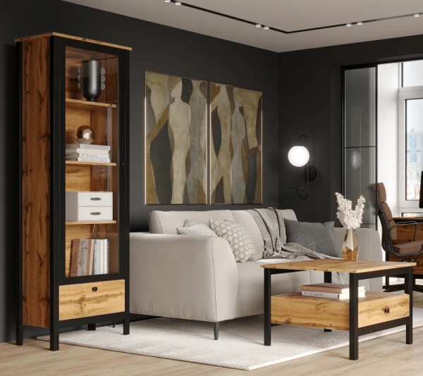 Шкаф ЛОФТ REG1W1S