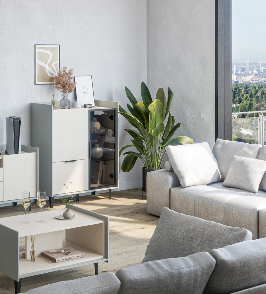 Шкаф комбинированный Модена МН-048-24